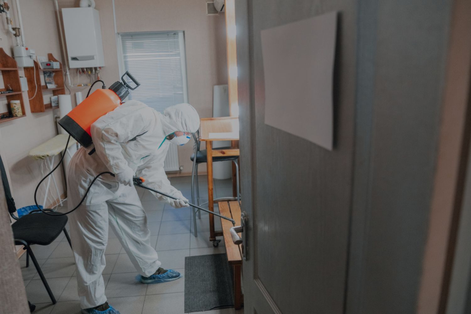 8 claves para evitar la aparición de plagas en casa